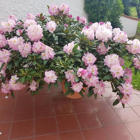 Casa Vittoria Villa Corsanico-Bargecchia Екстериор снимка