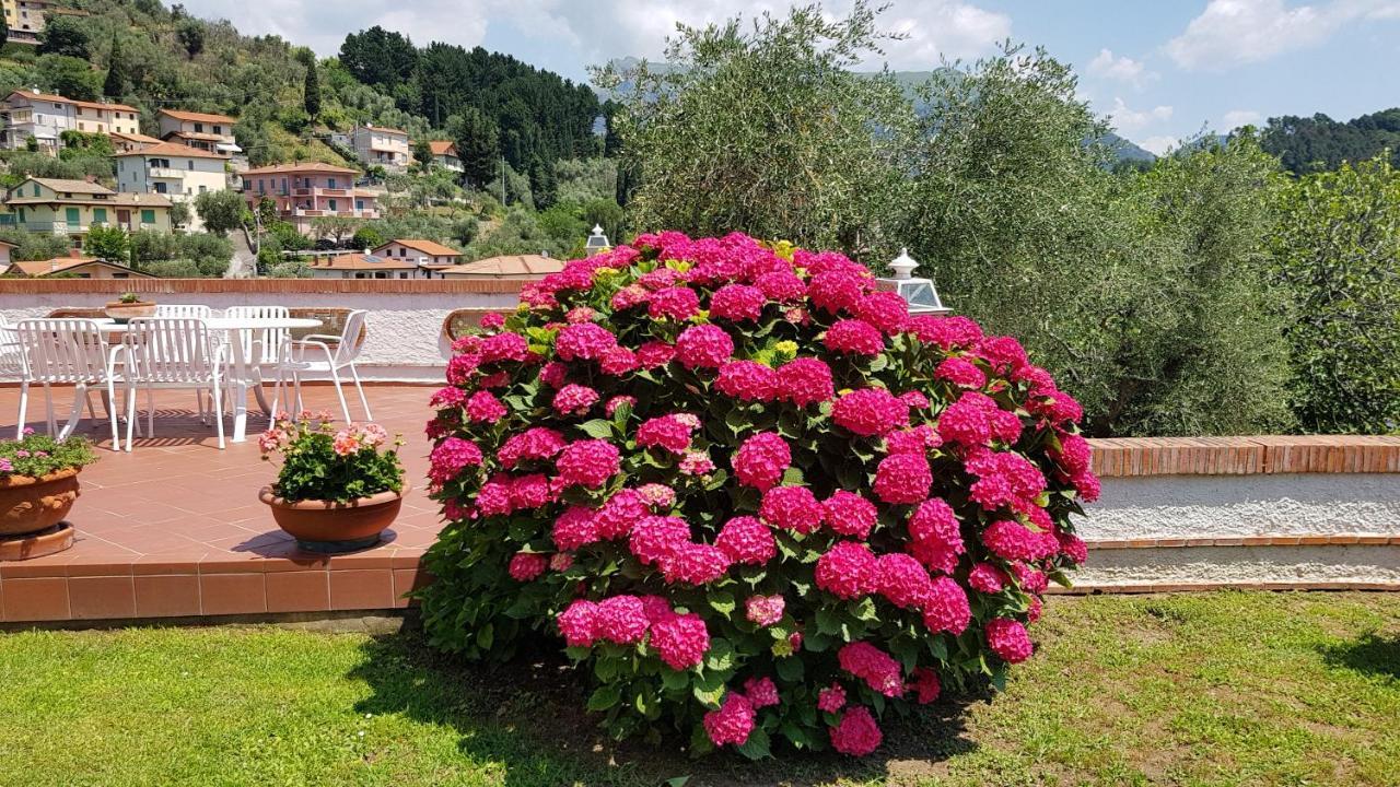 Casa Vittoria Villa Corsanico-Bargecchia Екстериор снимка