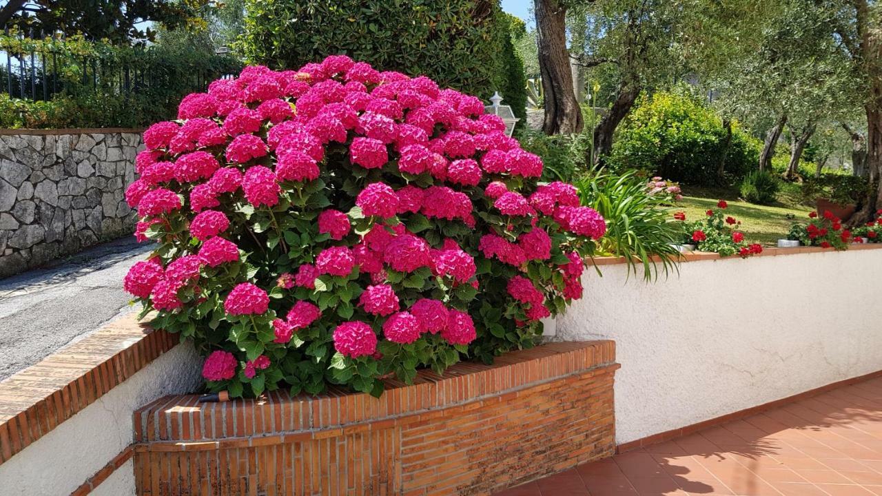 Casa Vittoria Villa Corsanico-Bargecchia Екстериор снимка